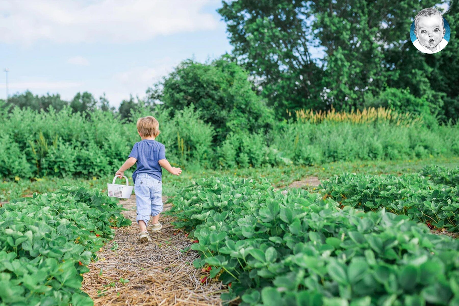 Tips & Resources for Growing Your Own Food