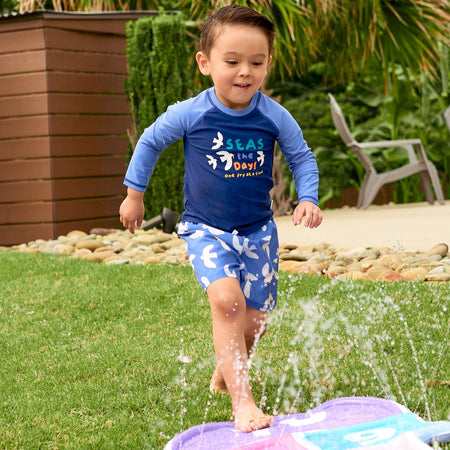 2-Piece Baby & Toddler Boys UPF 50+ Seagulls Rash Guard & Swim Trunks Set