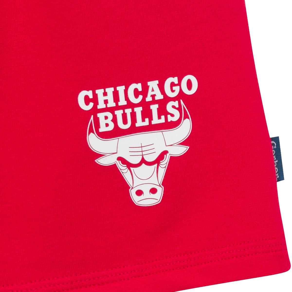 2-Piece Infant & Toddler Boys Chicago Bulls T-Shirt & Shorts Set Outfits & Sets Gerber® 