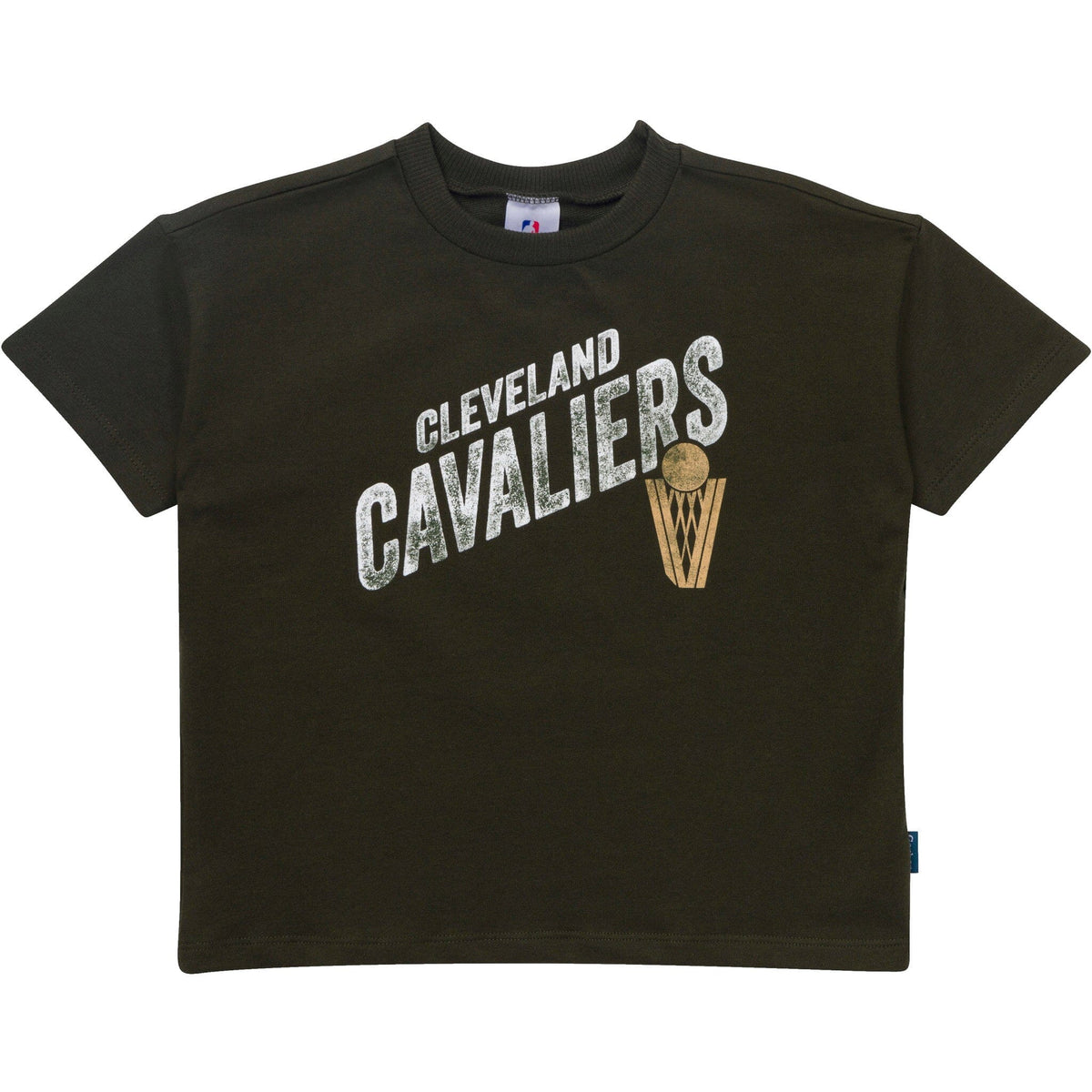 2-Piece Infant & Toddler Boys Cleveland Cavaliers T-Shirt & Shorts Set Outfits & Sets Gerber® 