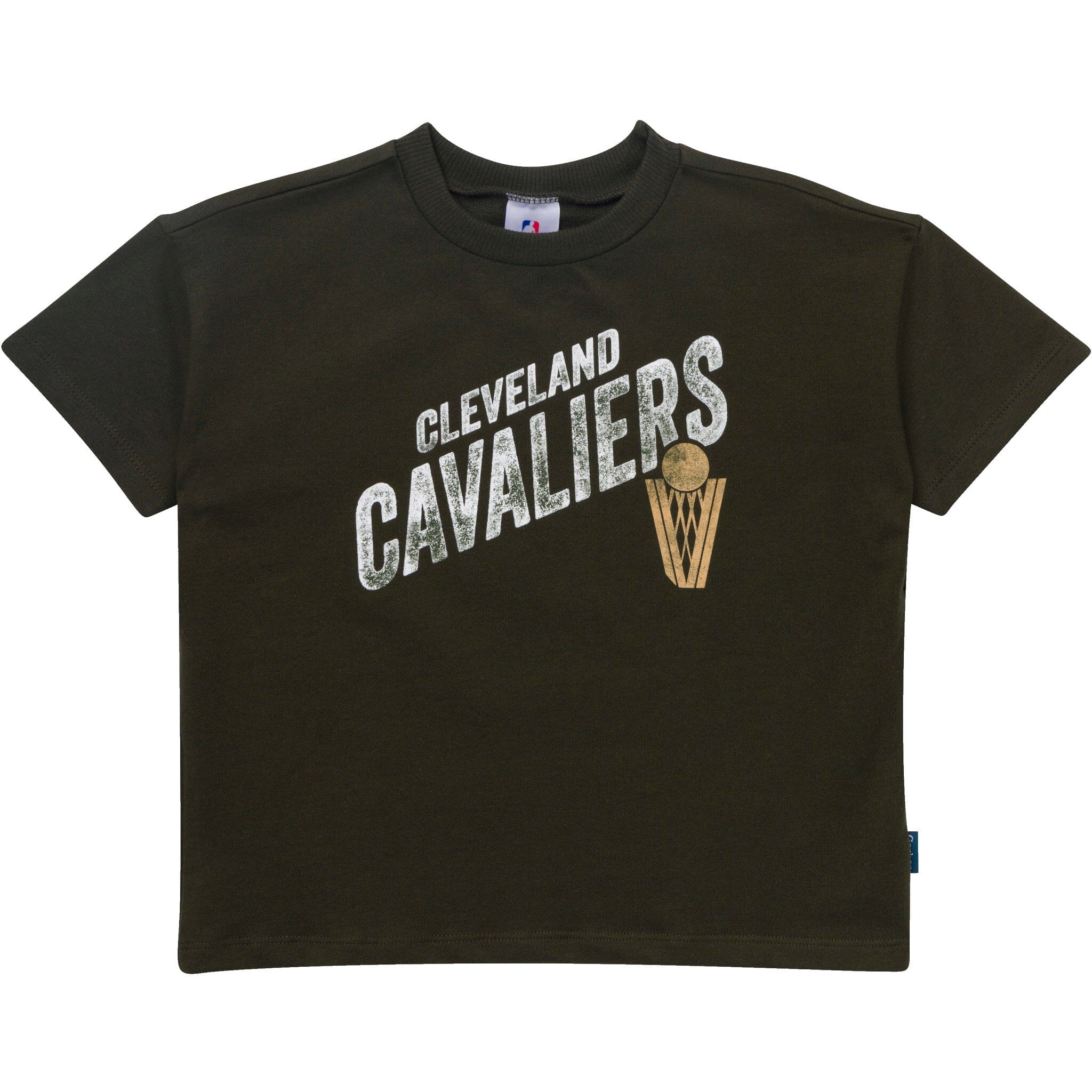 2-Piece Infant & Toddler Boys Cleveland Cavaliers T-Shirt & Shorts Set Outfits & Sets Gerber® 