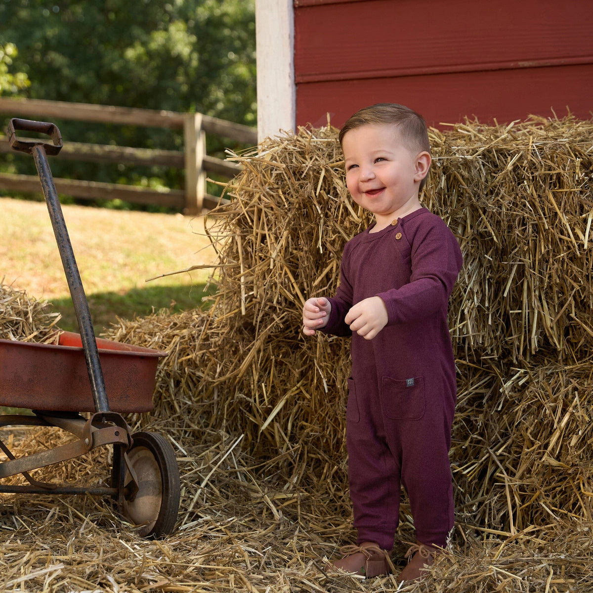 Baby Boys Purple Heather Raglan Sleeve & Long Leg Romper Rompers Modern Moments™ by Gerber® 