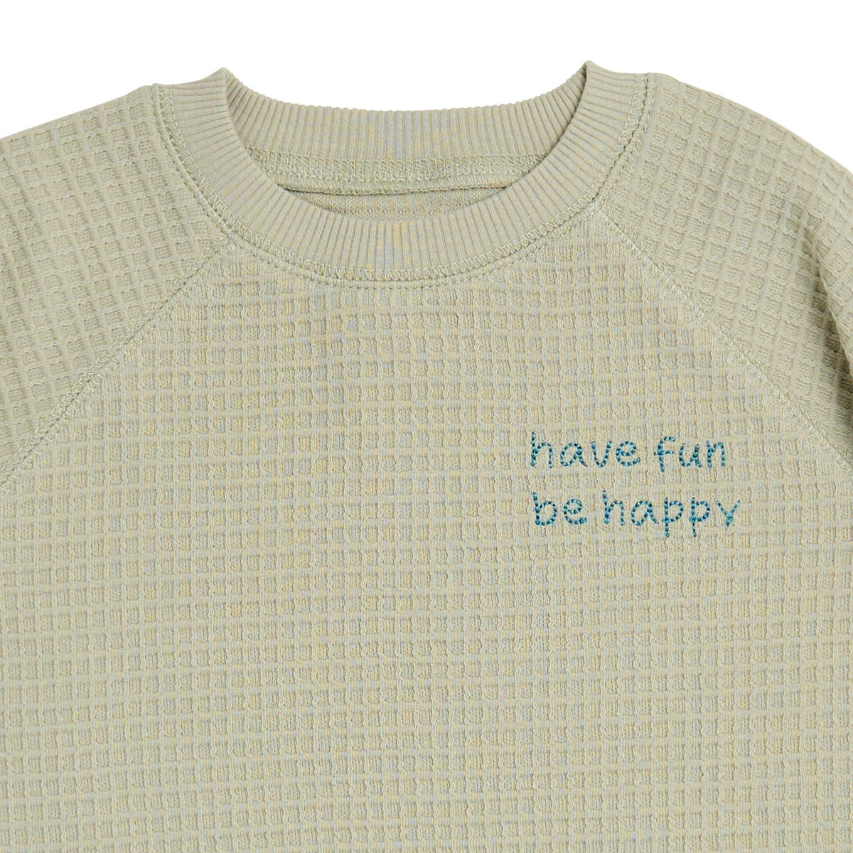 2-Piece Infant & Toddler Boys Light Green Long Sleeve Top and Shorts Set outfits Modern Moments™ by Gerber® 