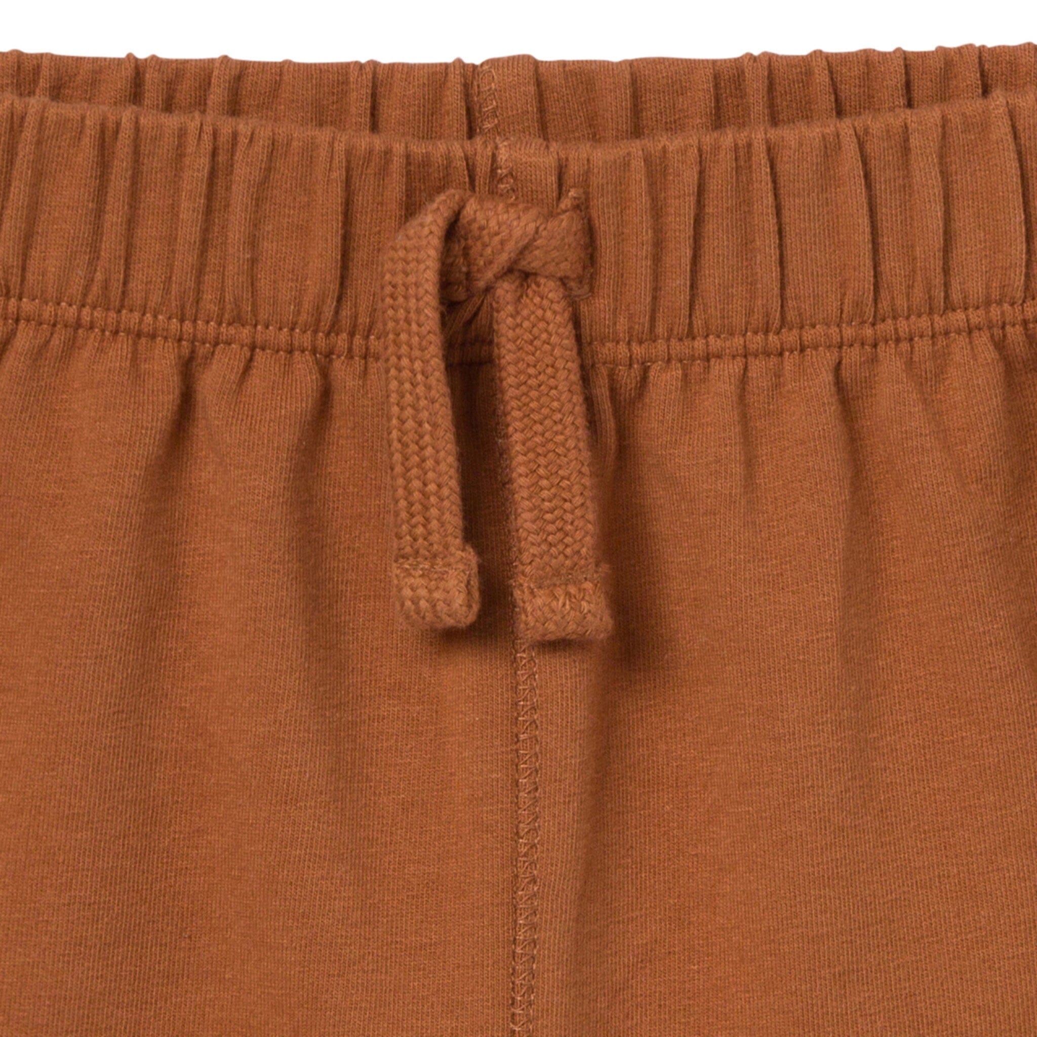 2-Piece Toddler Boys Medium Brown Henley Shirt and Shorts Set outfits Modern Moments™ by Gerber® 
