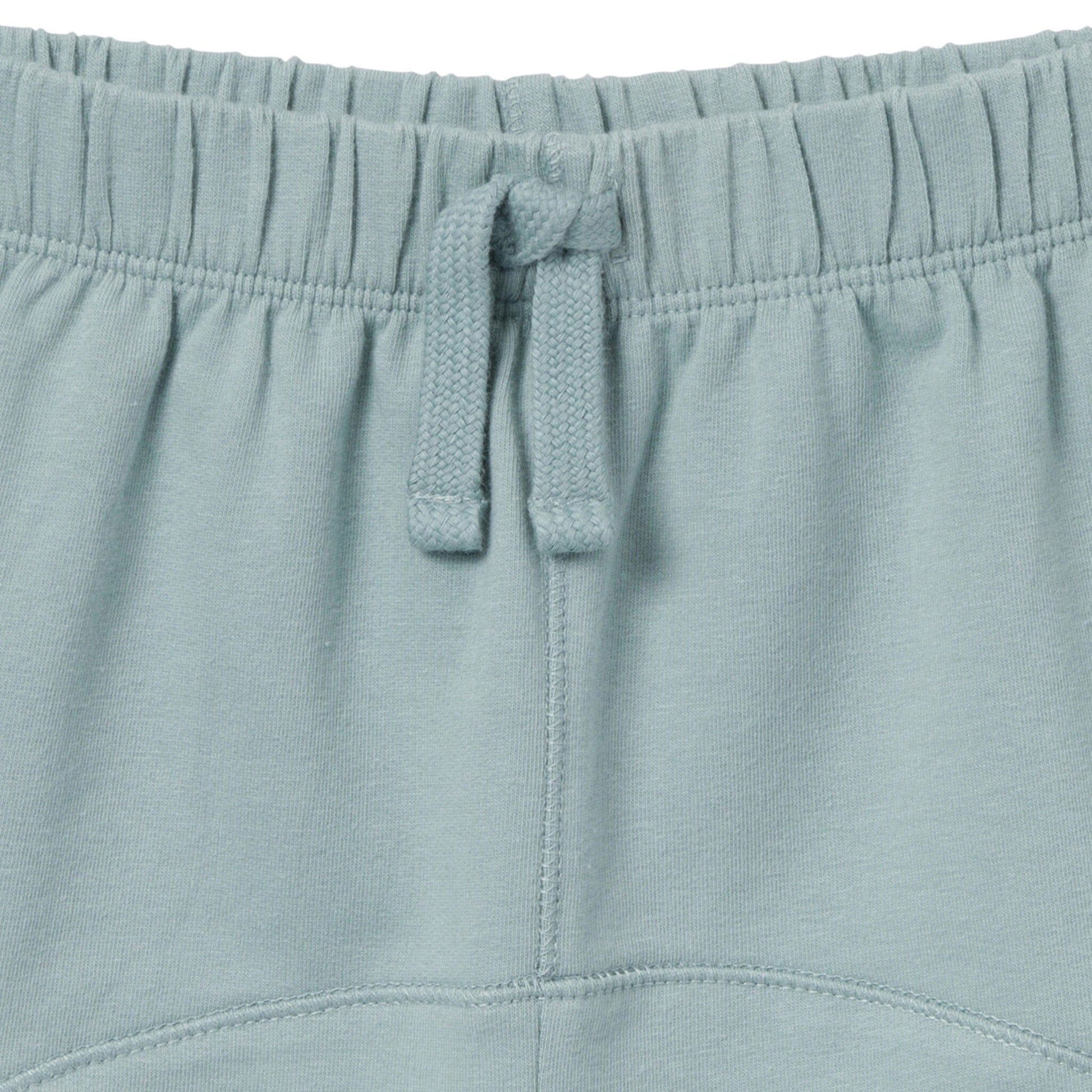2-Piece Toddler Boys Medium Teal Henley Shirt and Shorts Set outfits Modern Moments™ by Gerber® 