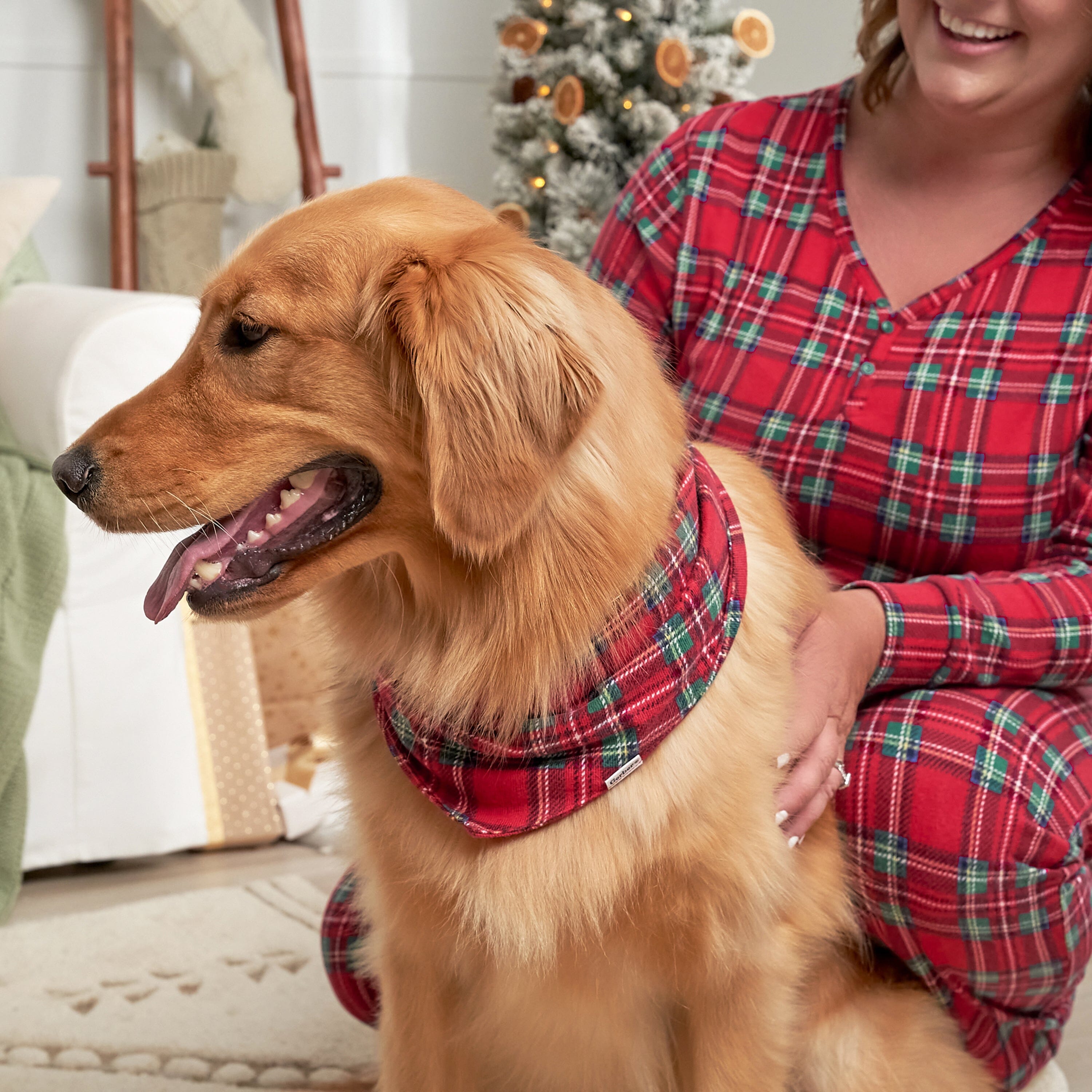 Stewart Plaid Pet Bandana