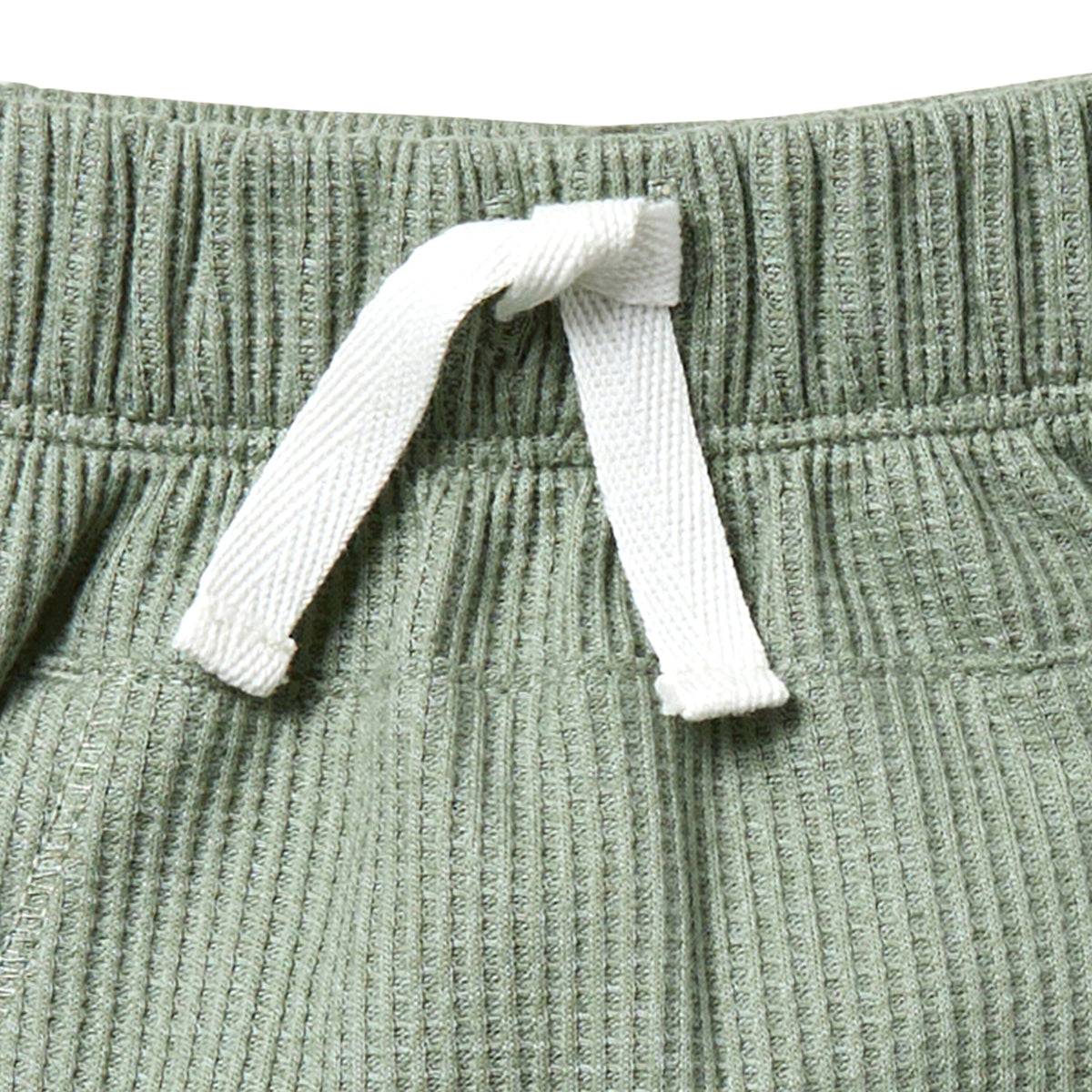 2-Pack Infant & Toddler Boys Medium Green Box Shirt & Green Harem Shorts Bundle outfits Gerber Childrenswear 