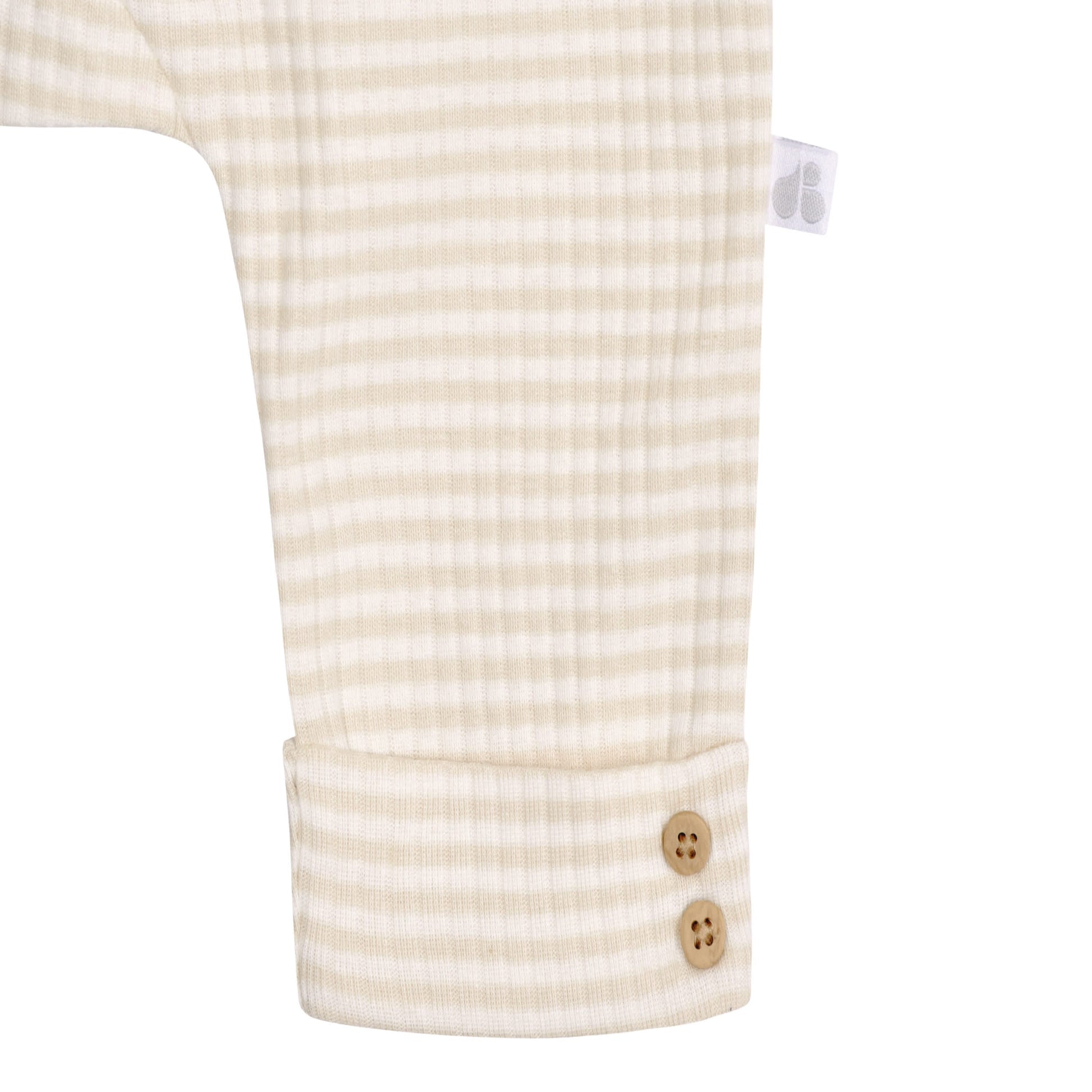 2-Pack Baby Boys Desert Cactus Pants