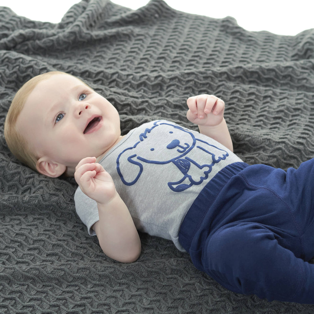 6-Piece Baby Boys Dog Onesies® Brand Bodysuits & Pants Set-Gerber Childrenswear